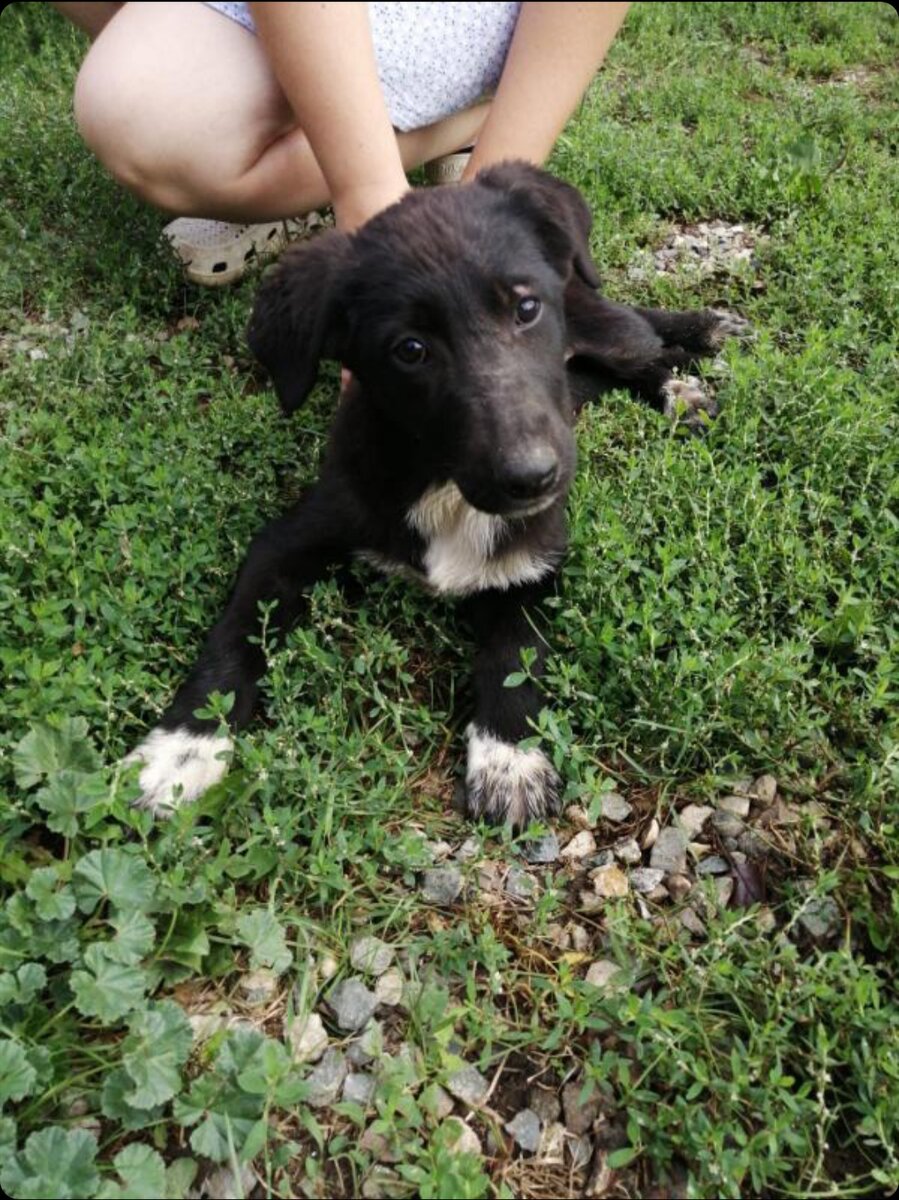 Это фото для пабликов