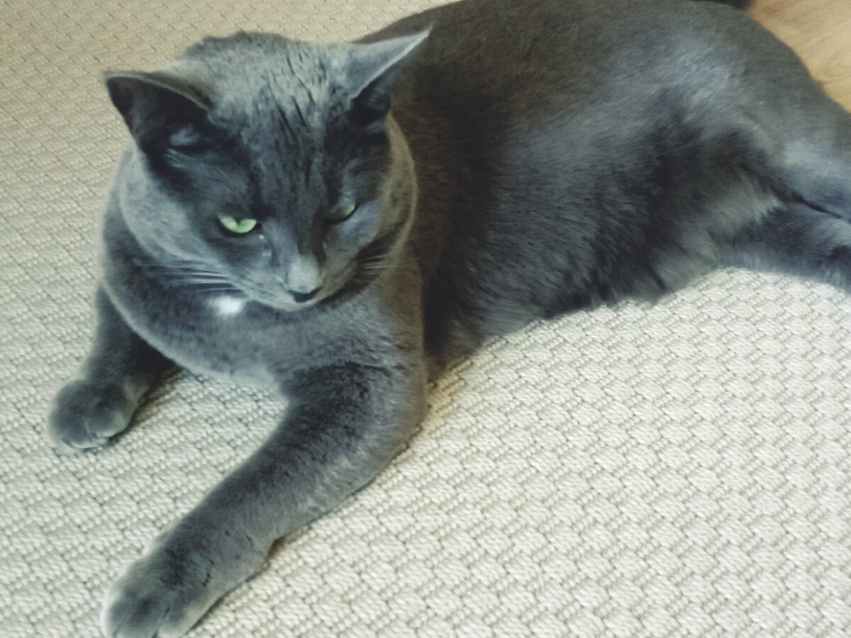 Надо же объяснить, она не так все поняла.