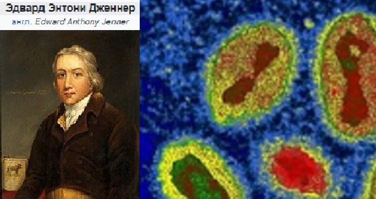 Эдвард Дженнер и вирусы оспы. (википедия\мед атлас.ру)