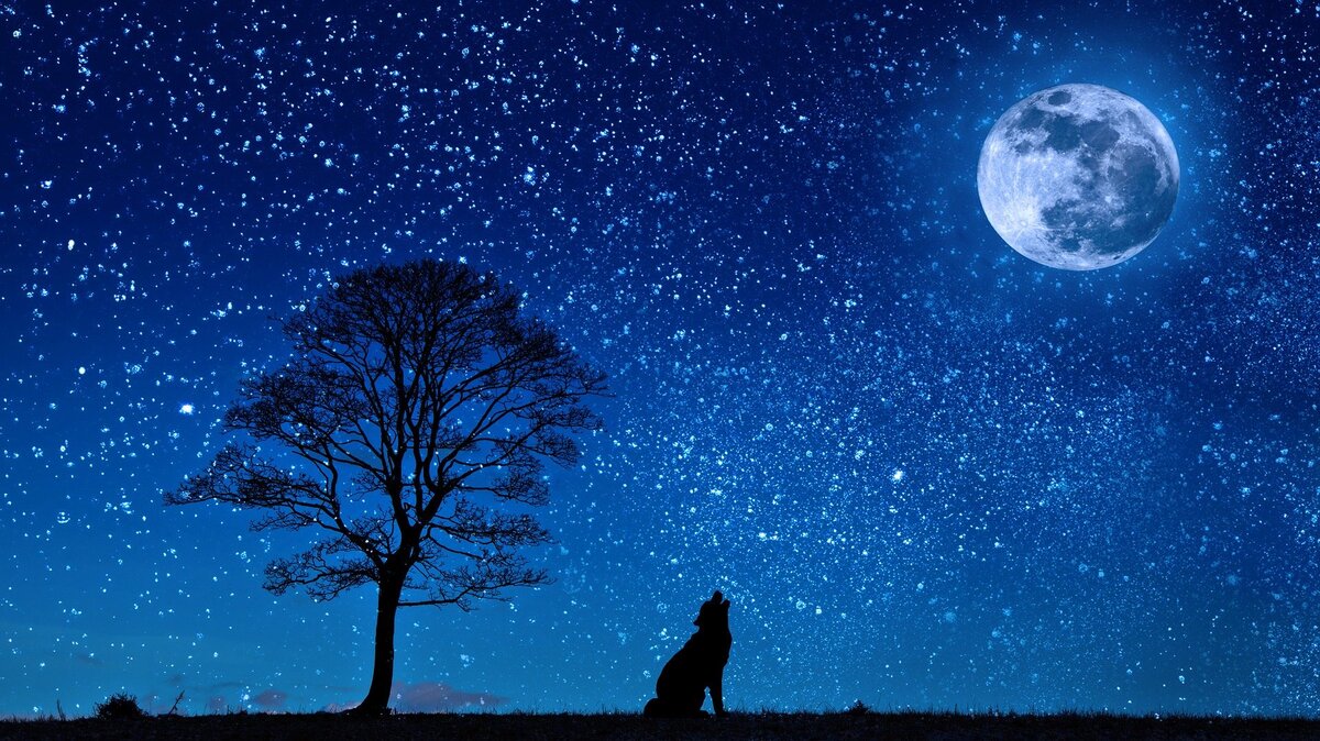 Велесова ночь всегда считалось одной из самых особенных. Фото: Pixabay 