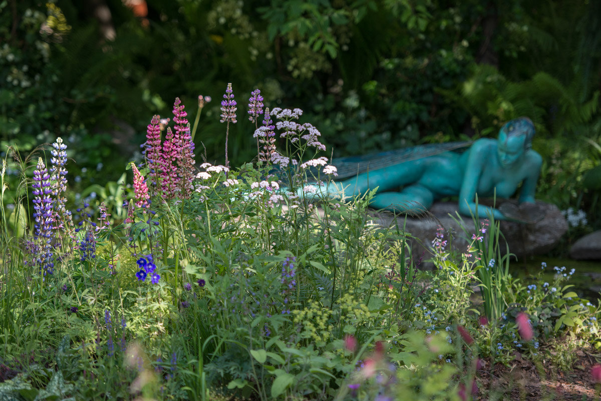 Сада мур. Moscow Flower show Арзамасова.