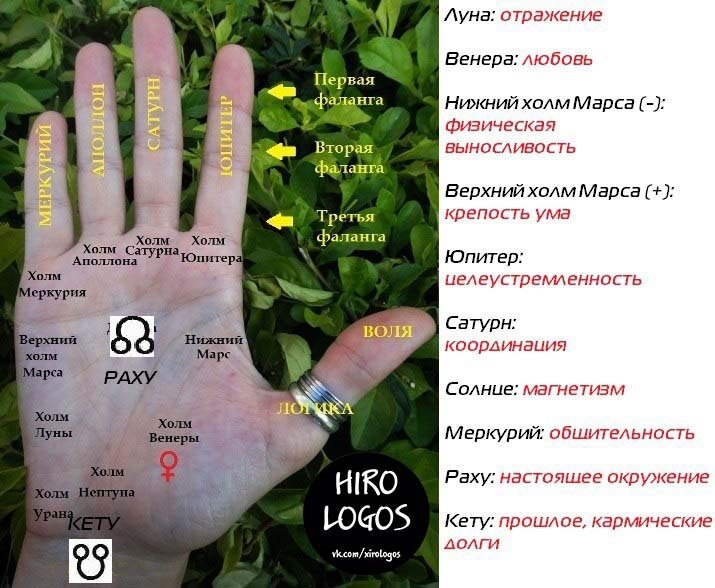 Карта планет на руке в хиромантии и хирологии.