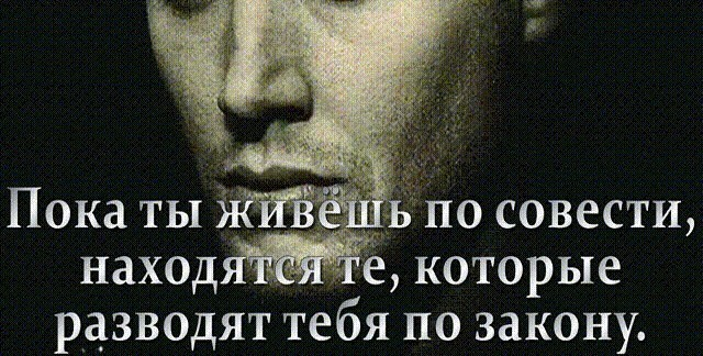 Цитата про совесть Ир честь. Живи по совести. Статусы про людей у которых нет совести. Афоризм жить по совести.
