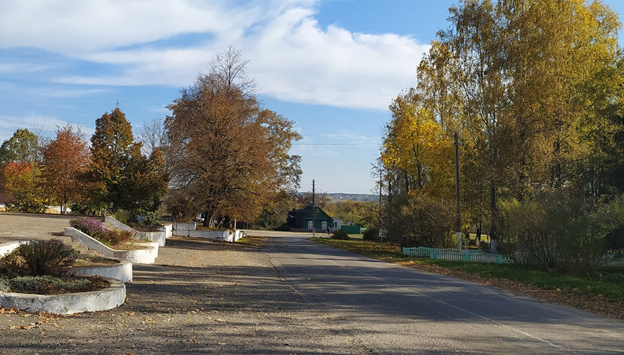 Центральная улица нашей деревни . Фото автора.