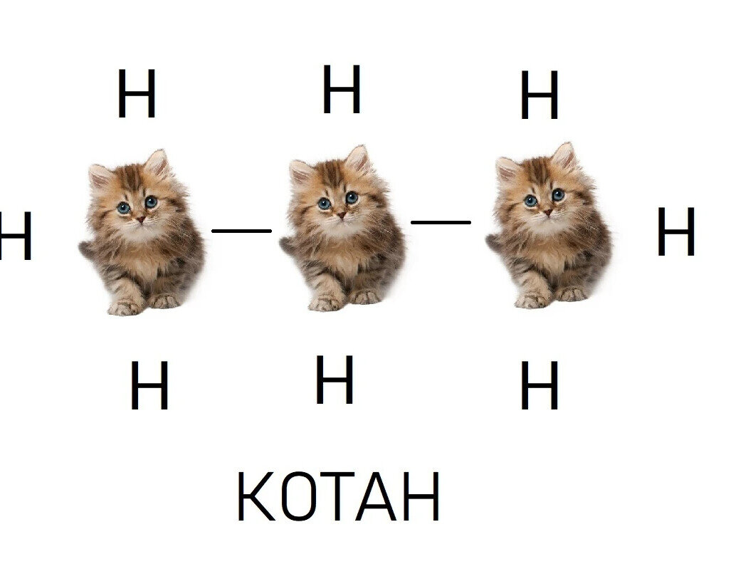 Котаны