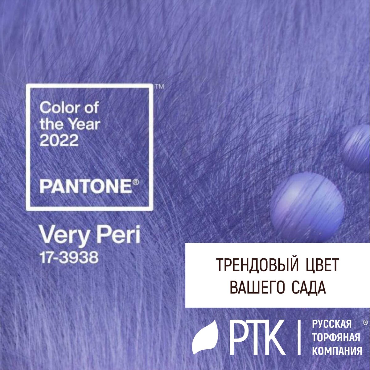 Pantone, мировой авторитет в области цвета и поставщик профессиональных цветовых стандартов и цифровых решений для дизайнерского сообщества, накануне объявил PANTONE® 17-3938 Very Peri (барвинок) цветом Pantone® на 2022 год. 
И Русская Торфяная Компания не отстаёт от тенденций в выборе цвета для своих брендов. 
Нам интересно какие цветы в этом году выбрали бы вы для своего сада? Тем более, что все грунты для реализации самых разный идей есть в наличие у Компании РТК.  Мы по-прежнему производим грунты для всех видов растений с ними можно вырастить у себя любой сад, любого цвета. 
Ждём ваши комментарии!
