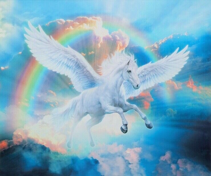 Фото из открытого источника интернет