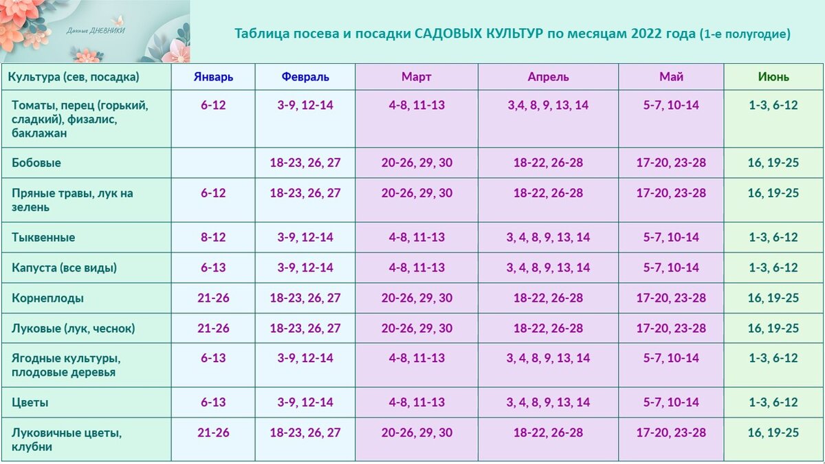 Лунный календарь на январь 2025 благоприятные дни