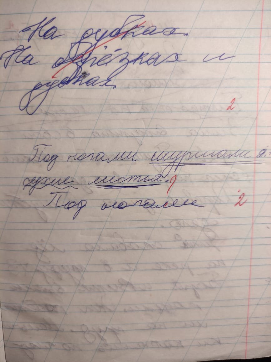 тетрадь сына в то время