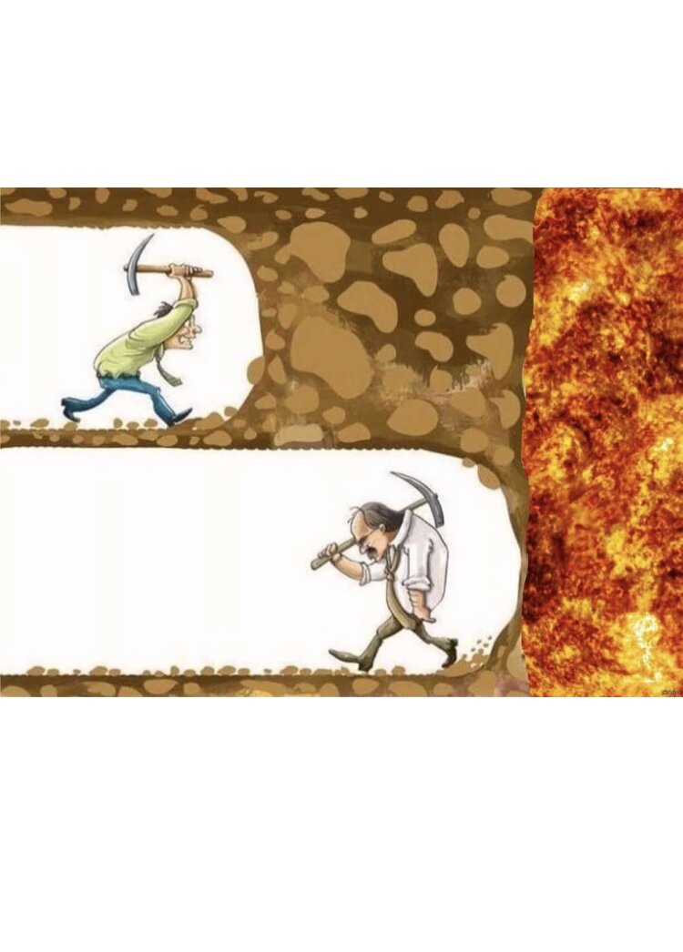 Яндекс картинки ,свободный доступ