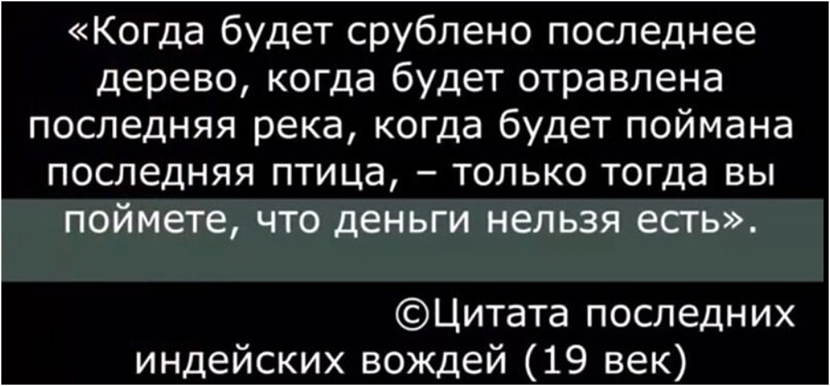 Деньги нельзя. Когда люди срубят последнее дерево. Когда будет срублено последнее дерево. Тогда вы поймете что деньги нельзя есть. Люди поймут что деньги нельзя есть.