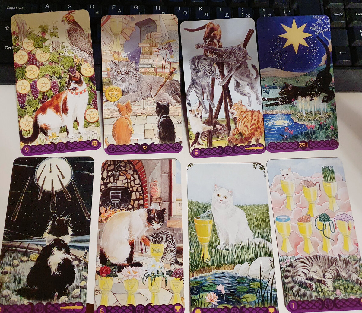 Фото мое, на фото - Pagan cats tarot