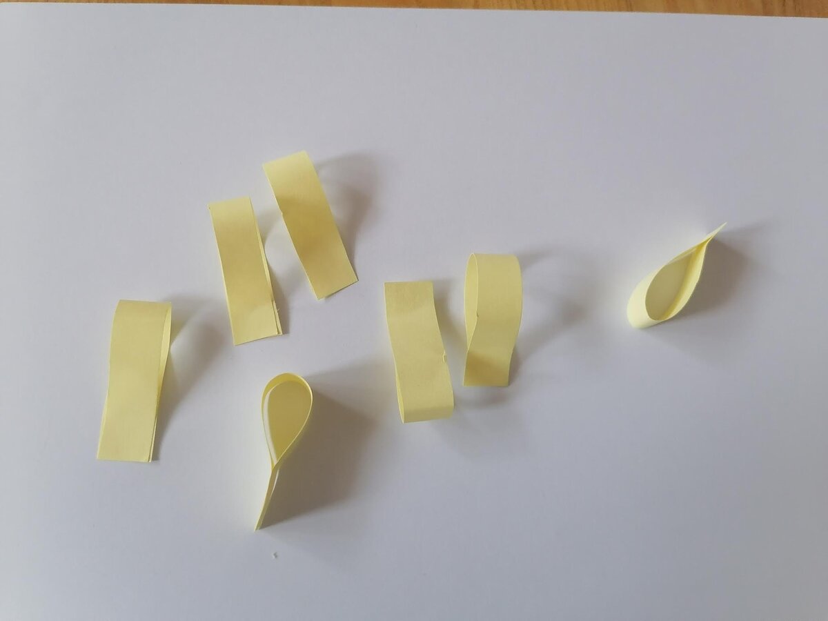 Фщто автора