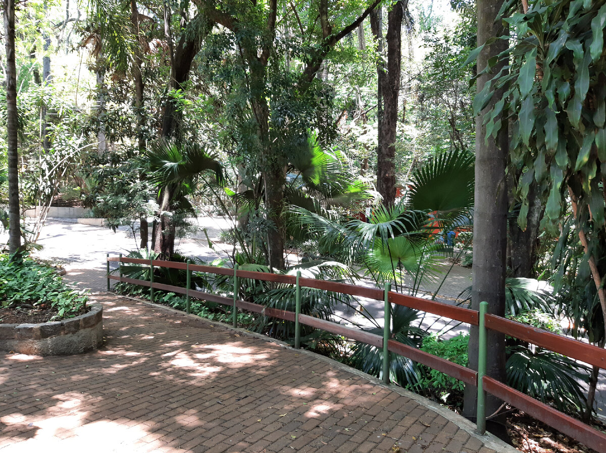 Бразильский парк