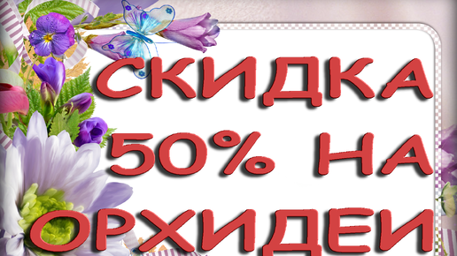 СКИДКА 50% на ОРХИДЕИ,27.03.22.Садовый центр ВЕРЫ ГЛУХОВОЙ,Самара,ул. Ташкентская,173.