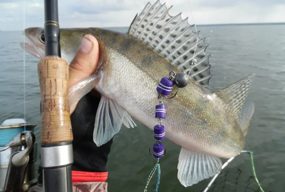 Фото с сайта https://www.fishingsib.ru/gallery/view/103896/