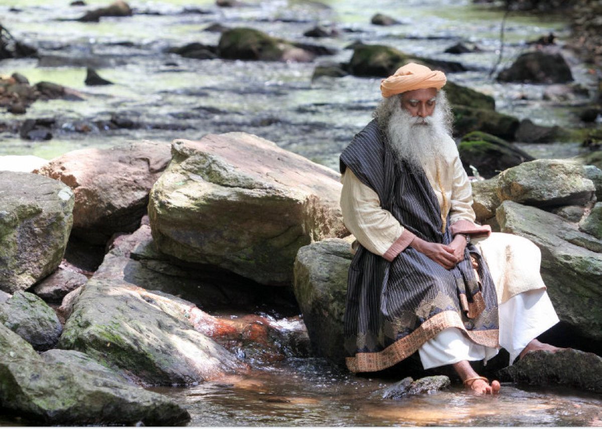 фото из открытого доступного источника сети интернет