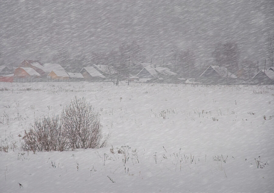 Фото с yarnovosti.com для примера