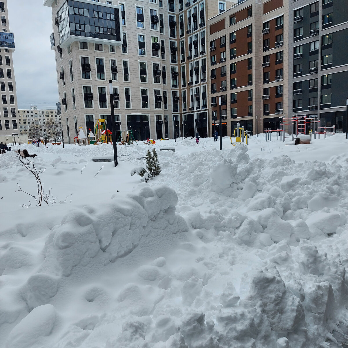 Двор, милый двор весной