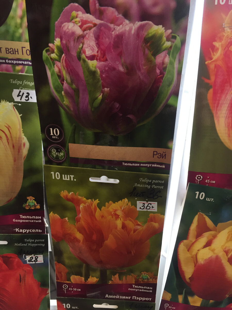 Так он выглядел на картинке. В общем-то, похож сам на себя.