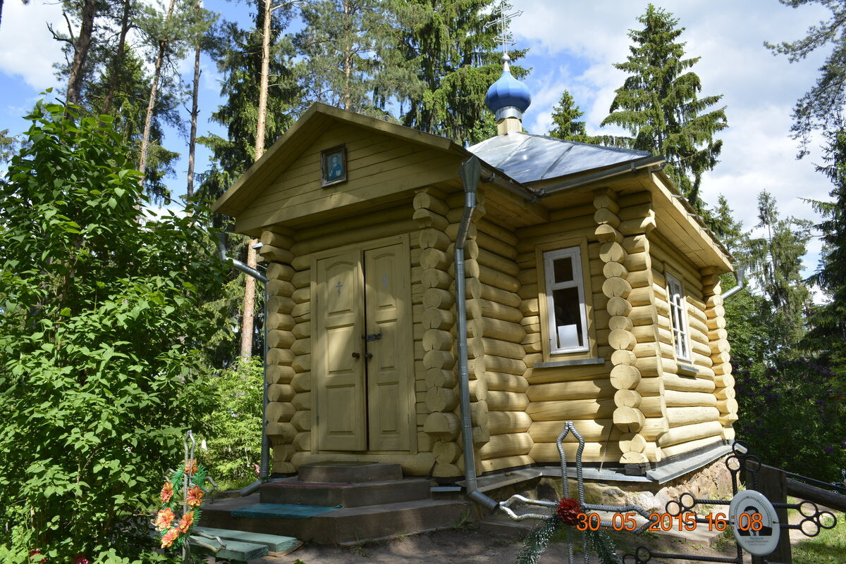Автор: http://fotokto.ru/photo/view/3080244.html