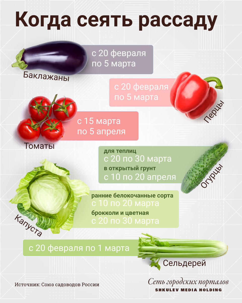 Календарь рассады: когда сеять и сажать семена в 2022 году | Яндекс.Погода  | Дзен