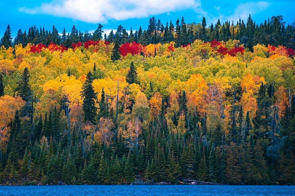 фото взято из стока pixabay