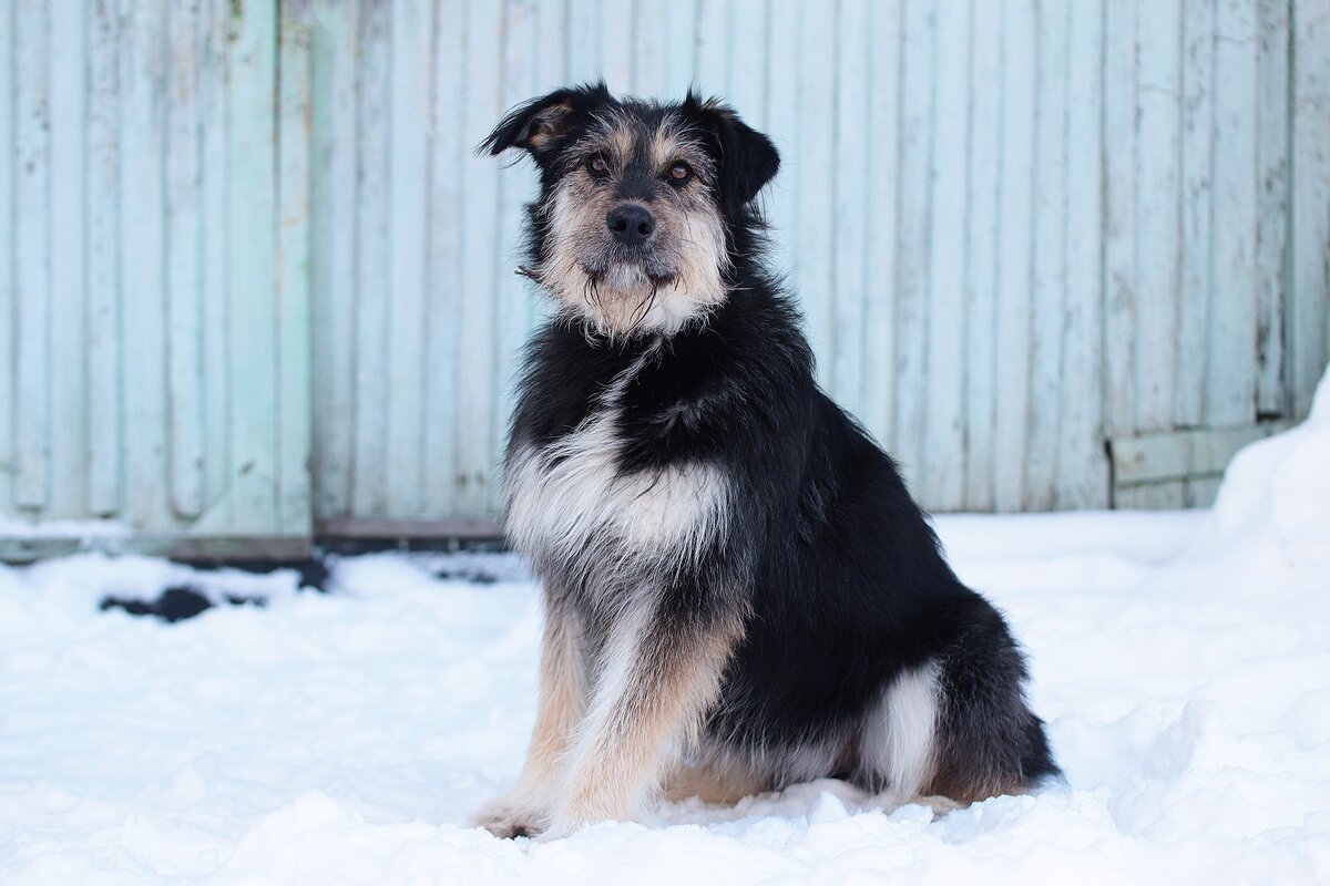 Даже, когда Мотя смотрит на человека первый раз, он как будто улыбается. И ждет от него внимания и улыбки.