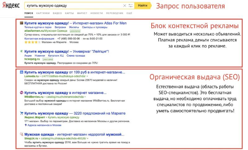 Примеры естественной выдачи в яндексе и гугле а также блока контекстной рекламы
