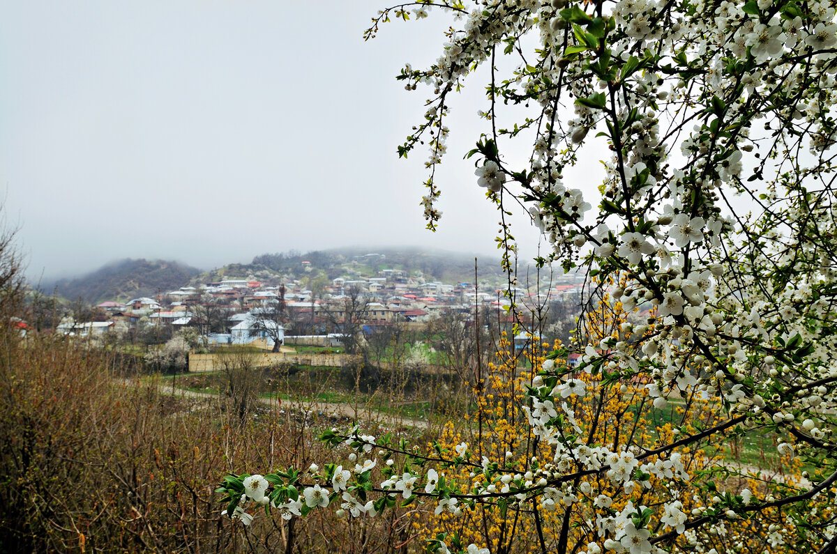 Фото: Эмиль Халилов