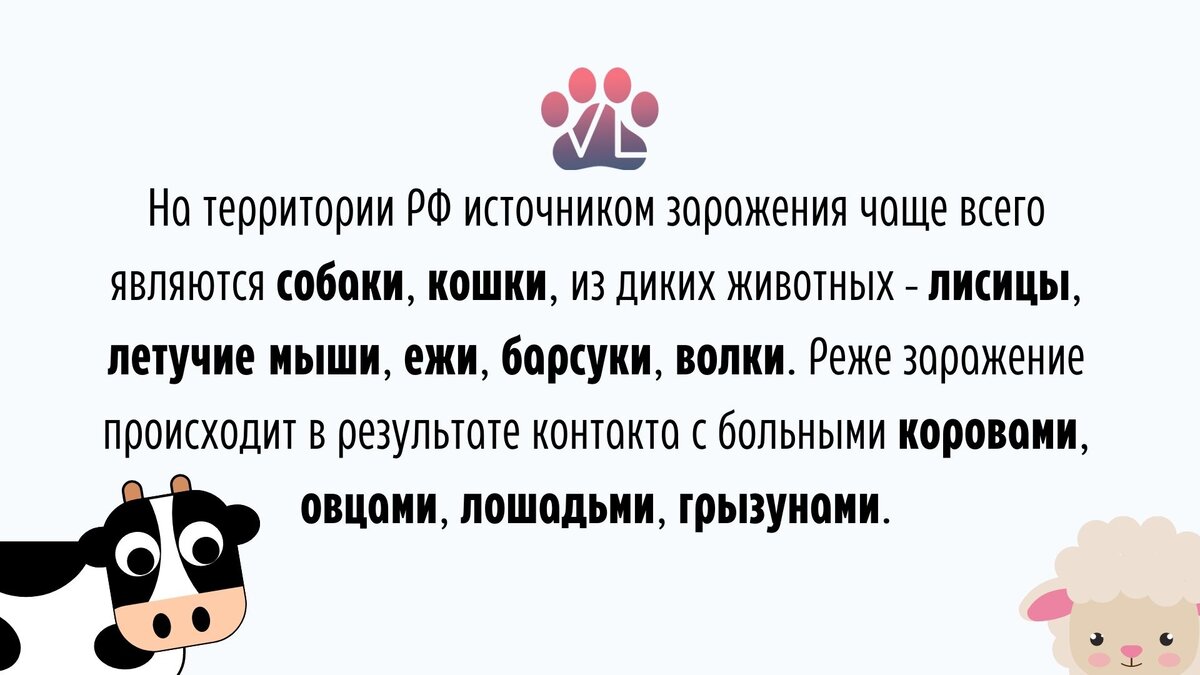 Подросток погиб от заражения бешенством через год после укуса ...