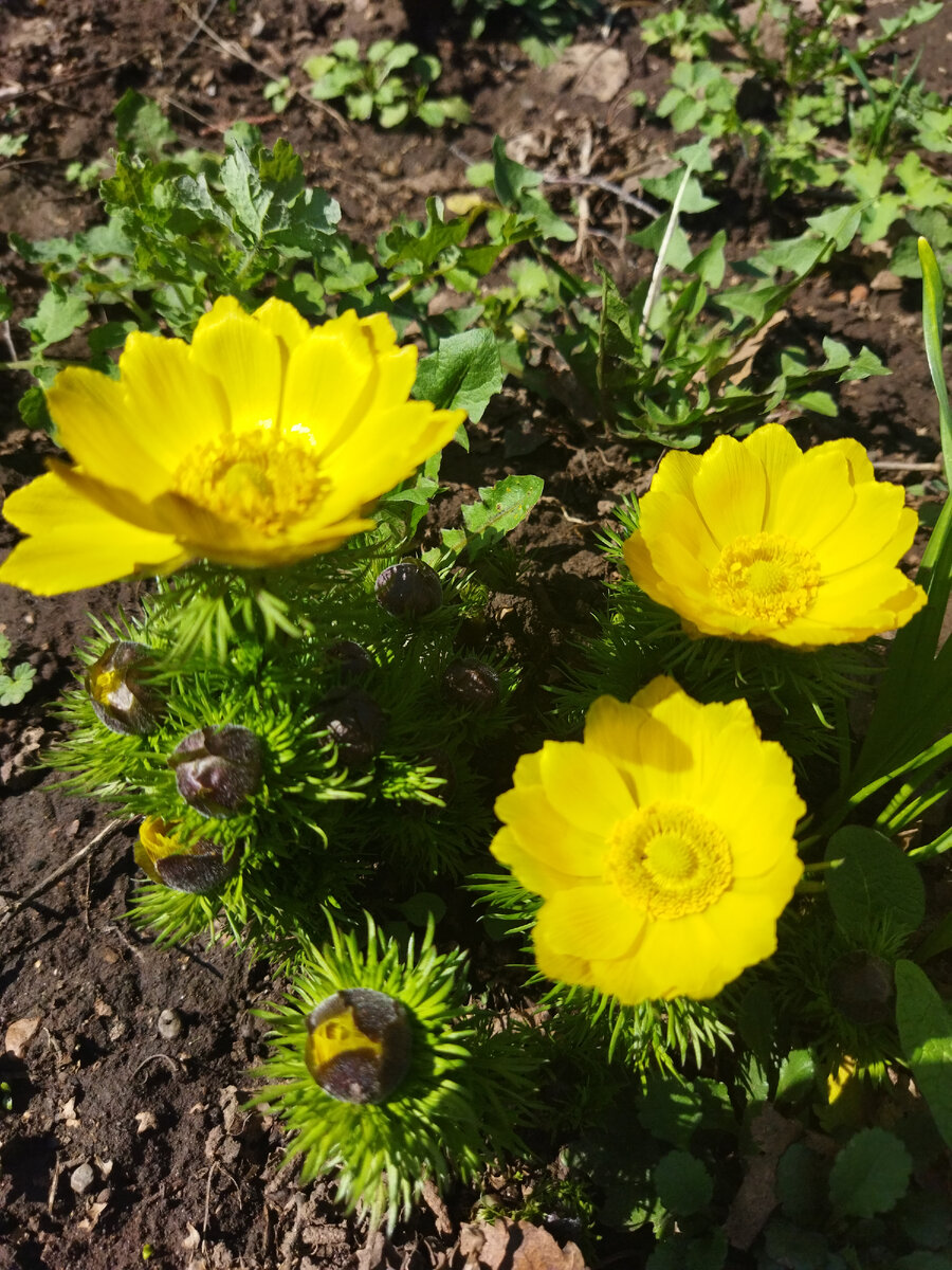 Фото из личного архива