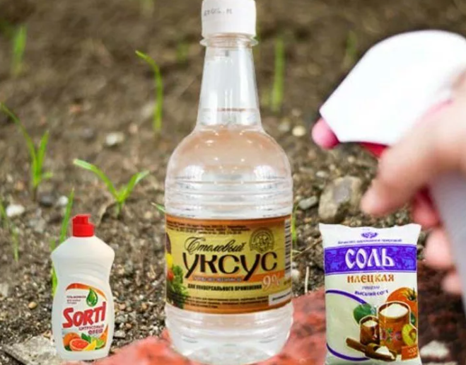 Фото из свободного источника