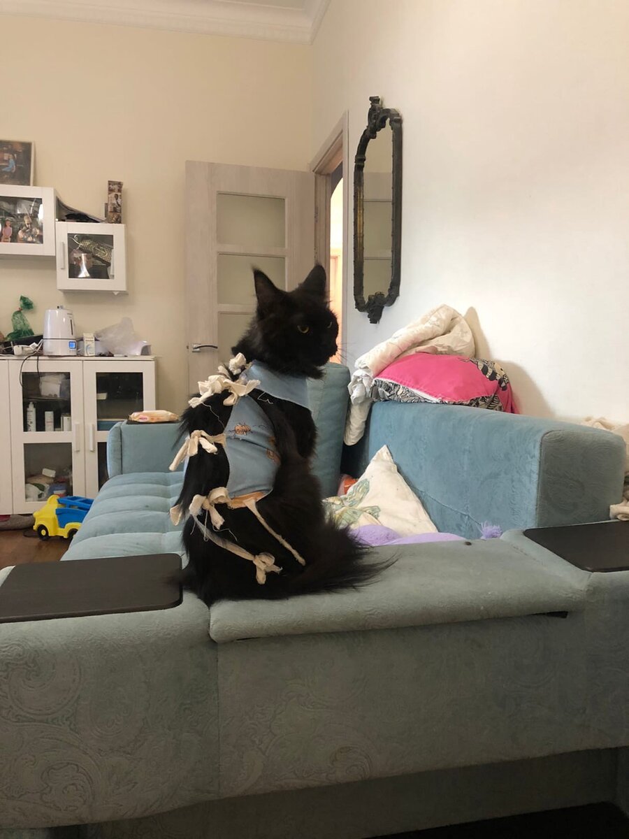 Фото из личного архива. 
