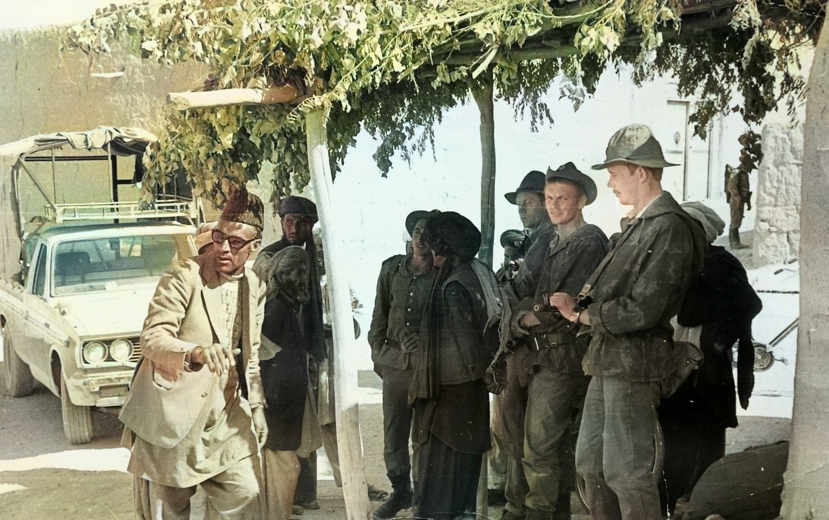 Яндекс картинки. Свободный доступ.