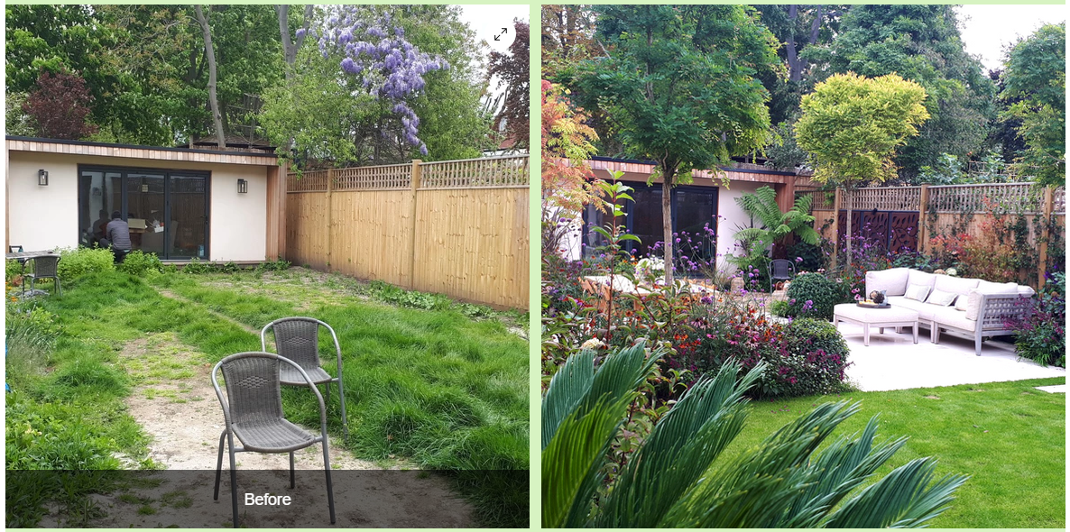 Фото с сайта https://www.thedistinctivegardener.com