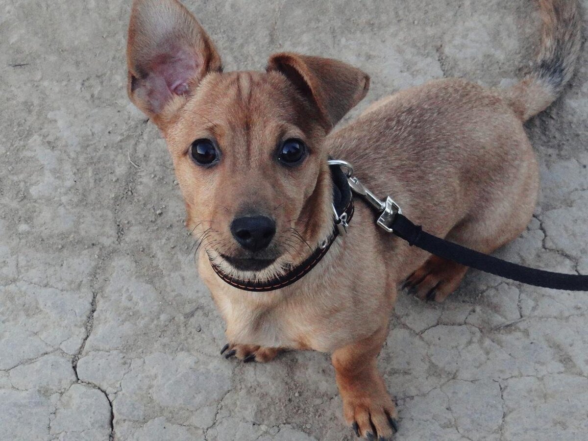 Фото из свободного доступа сети Интернет