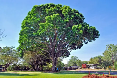 Собственно оно. 