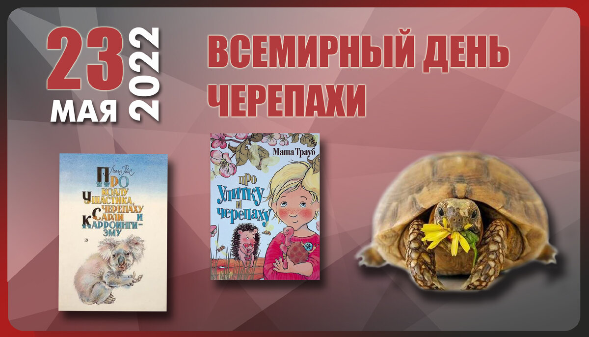 Всемирный день черепахи 23 мая поздравления картинки