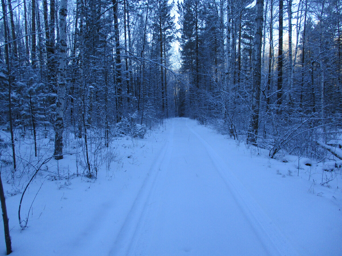Таёжная дорога.
