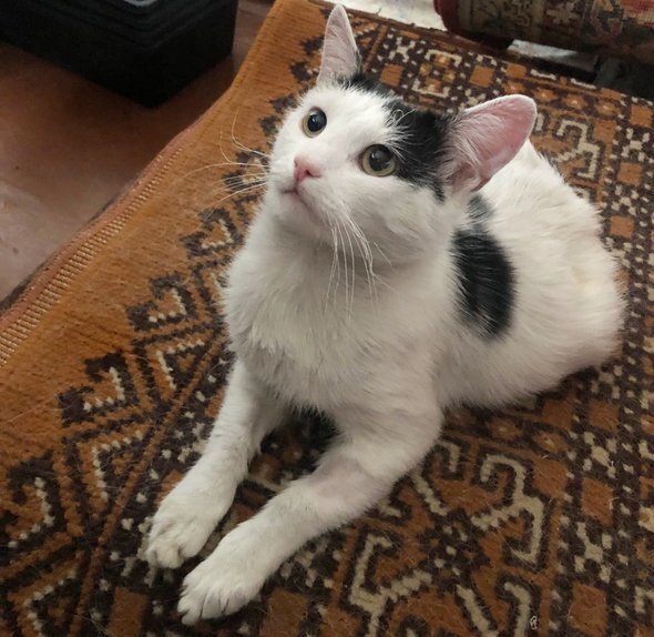 Фото: Заводской Online Саратов