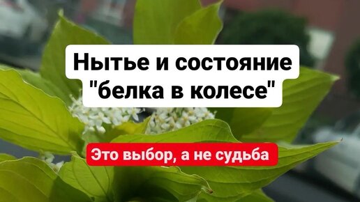 Неправильное отношение к быту портит качество жизни