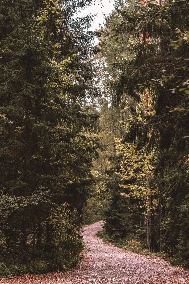 Валдайский заповедник