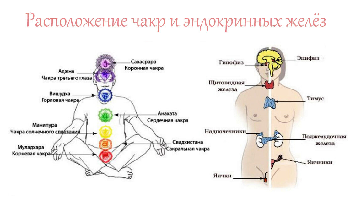 © Основное изображение взято из открытых источников в интернет.
