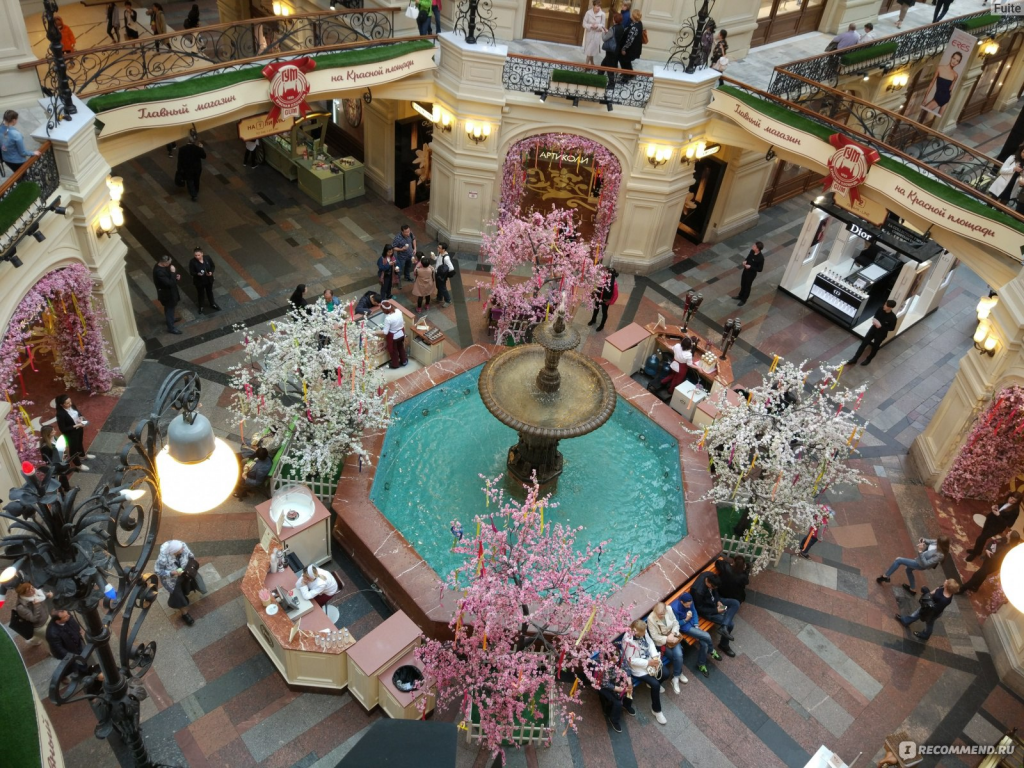 Фото Яндекс.Коллекция