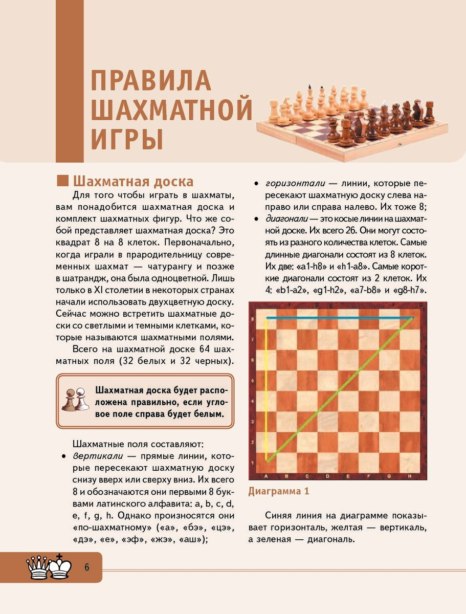 Как играть в шахматы инструкция для начинающих. Игра в шахматы для начинающих правила игры. Шахматы правила игры для новичков детей. Шахматные правила для начинающих детей. Шахматы правила игры для новичков расстановка.