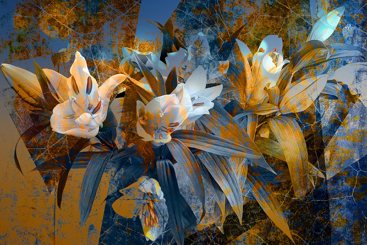 Елена Смурова "Лилии"