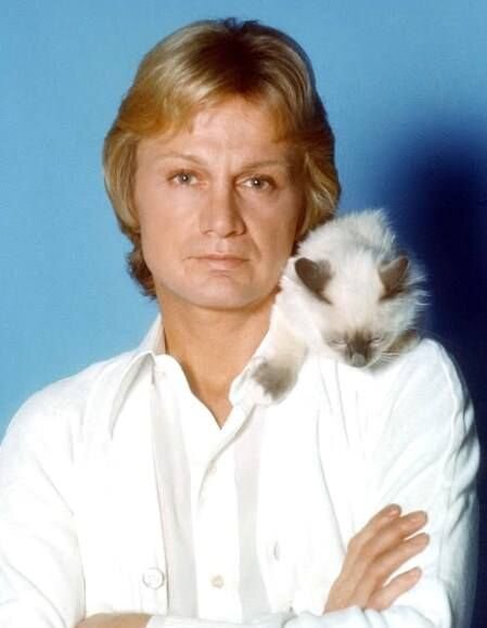 Claude François и котёнок. Фото из интернета 