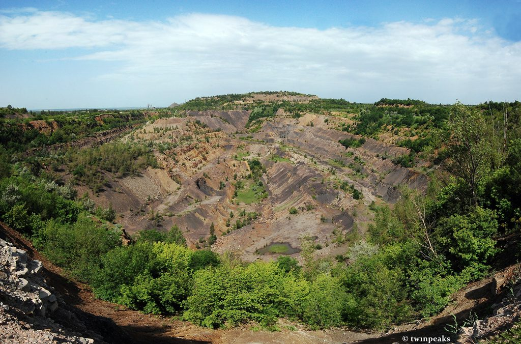 Поля рудник