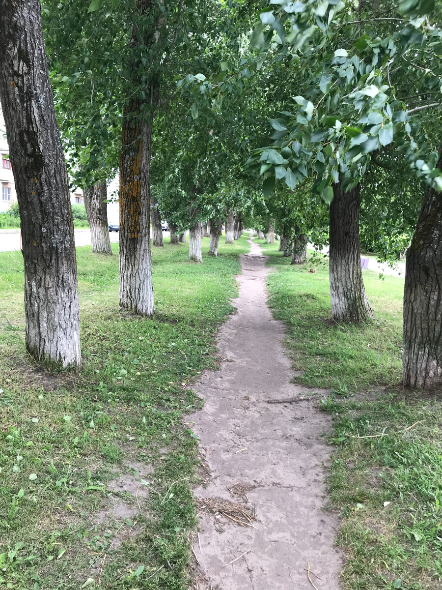 Уголок Архангельска.